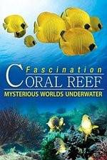 Watch Fascination Coral Reef: Mysterious Worlds Underwater Megashare8
