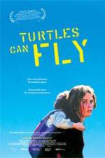 Watch Turtles Can Fly Megashare8