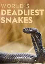 Watch World's Deadliest Snakes Megashare8