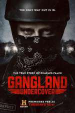 Watch Gangland Undercover Megashare8