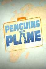 Watch Penguins on a Plane Megashare8