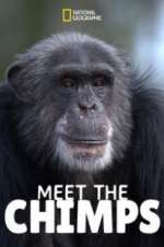 Watch Meet the Chimps Megashare8