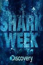 Watch Shark Week Megashare8