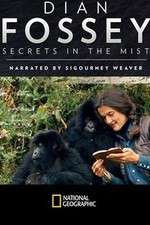 Watch Dian Fossey: Secrets in the Mist Megashare8