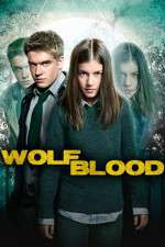 Watch Wolfblood Secrets Megashare8