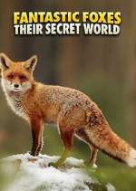 Watch Fantastic Foxes: Their Secret World Megashare8