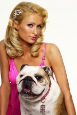 Watch Paris Hilton's British Best Friend Megashare8