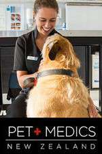 Watch Pet Medics Megashare8