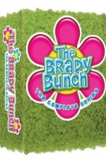 Watch The Brady Bunch Megashare8