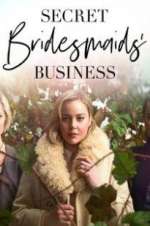 Watch Secret Bridesmaids\' Business Megashare8