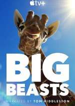Watch Big Beasts Megashare8