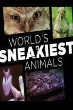 Watch World's Sneakiest Animals Megashare8