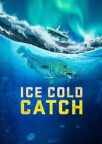 Watch Ice Cold Catch Megashare8