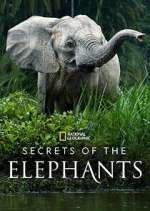 Watch Secrets of the Elephants Megashare8