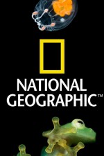 Watch Nat Geo Amazing! Megashare8