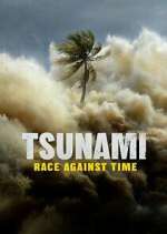 Watch Tsunami: Race Against Time Megashare8