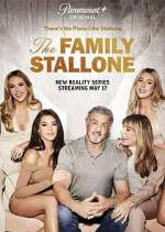 Watch The Family Stallone Megashare8