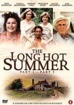 Watch The Long Hot Summer Megashare8