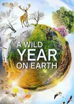 Watch A Wild Year on Earth Megashare8