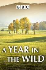 Watch A Year in the Wild Megashare8