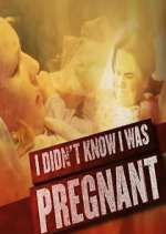 Watch I Didn't Know I Was Pregnant Megashare8