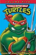 Watch Teenage Mutant Ninja Turtles Megashare8