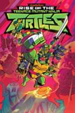 Watch Rise of the Teenage Mutant Ninja Turtles Megashare8