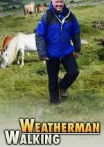 Watch Weatherman Walking Megashare8