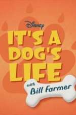 Watch It\'s a Dog\'s Life with Bill Farmer Megashare8