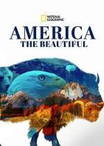 Watch America the Beautiful Megashare8