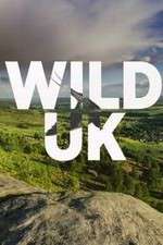 Watch Wild UK Megashare8