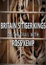 Watch Britain's Tiger Kings - On the Trail with Ross Kemp Megashare8