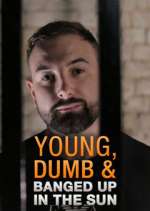 Watch Young Dumb & Banged Up in the Sun Megashare8