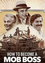Watch How to Become a Mob Boss Megashare8