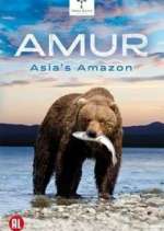 Watch Amur Asia's Amazon Megashare8