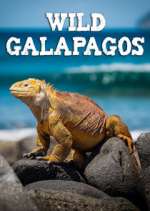 Watch Wild Galapagos Megashare8