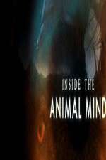 Watch Inside the Animal Mind Megashare8