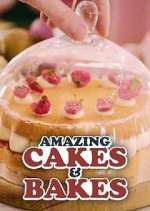 Watch Amazing Cakes & Bakes Megashare8