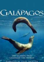 Watch Galapagos Megashare8