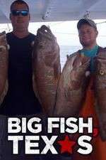 Watch Big Fish Texas Megashare8