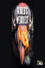 Watch National Geographic Worlds weirdest Megashare8