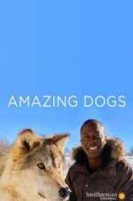 Watch Amazing Dogs Megashare8