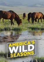 Watch America's Wild Seasons Megashare8