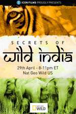 Watch Secrets of Wild India Megashare8