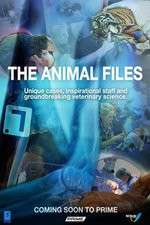 Watch The Animal Files Megashare8