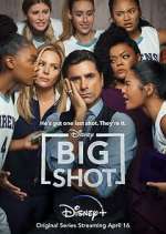 Watch Big Shot Megashare8