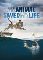 Watch An Animal Saved My Life Megashare8