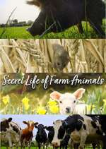 Watch Secret Life of Farm Animals Megashare8