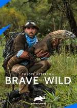 Watch Coyote Peterson: Brave the Wild Megashare8