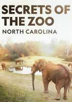 Watch Secrets of the Zoo: North Carolina Megashare8